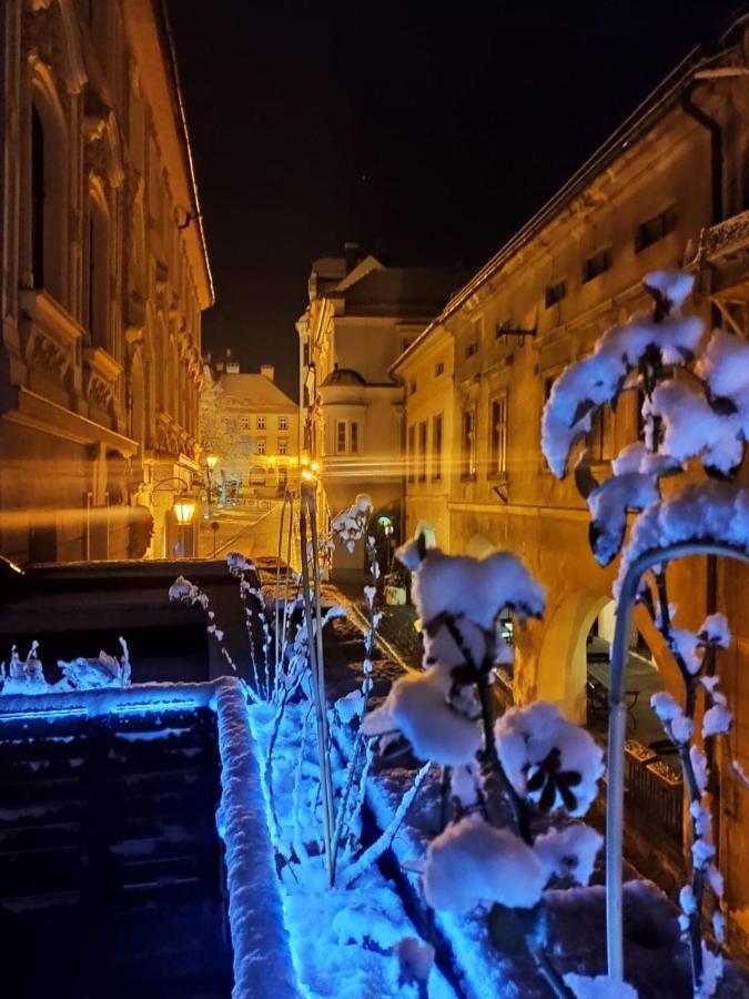 Apartament Podcienie Z Tarasem Bielsko-Biala Old Town 외부 사진
