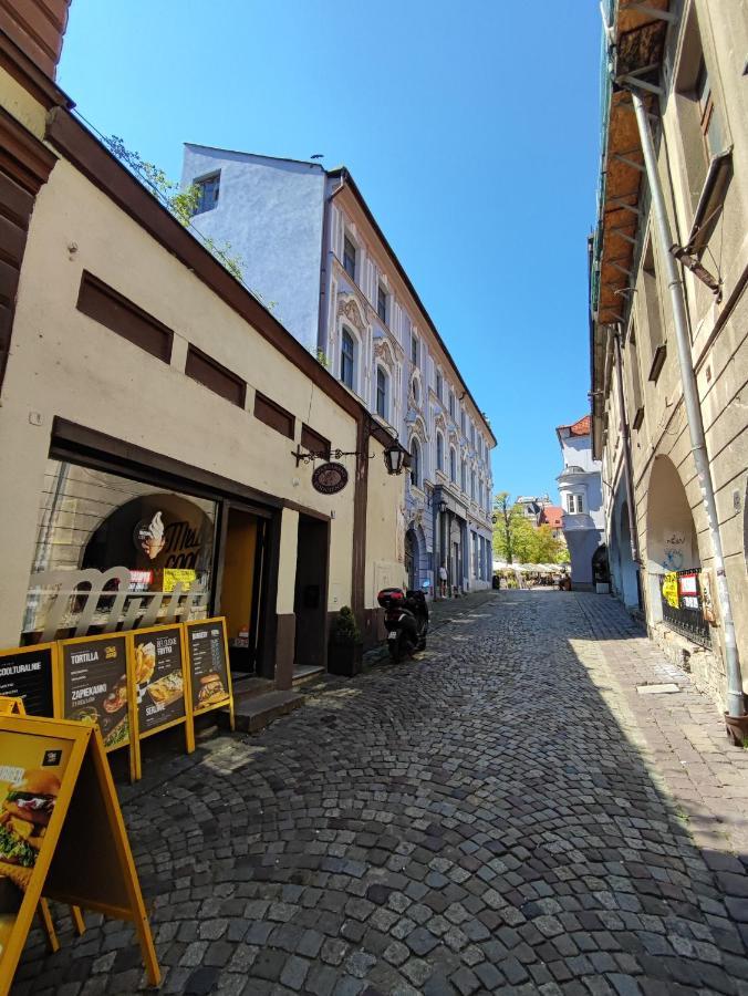 Apartament Podcienie Z Tarasem Bielsko-Biala Old Town 외부 사진